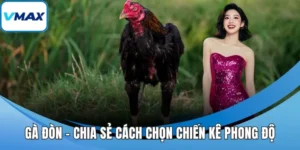 gà đòn