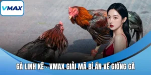gà linh kê